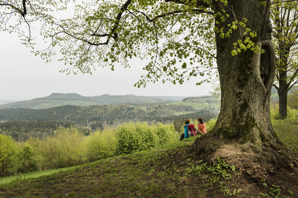 Auf dem Ansberg unter altem Lindenbaum mit Blick auf den Staffelberg. Foto: Andreas Hub