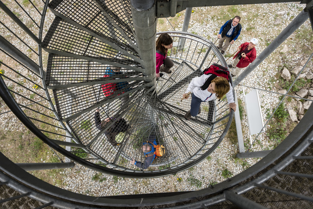 Treppe zum Vogelbeobachtungsturm in Dippach am Main. Foto: Andreas Hub