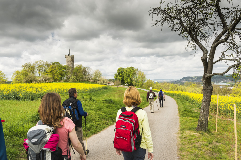 Weg zur Wallburg bei Eltmann mit Blick auf des Maintal und den Rand der Haßberge. Foto: Andreas Hub