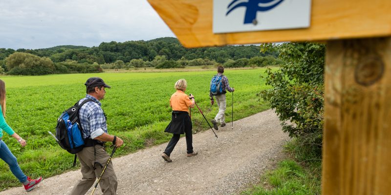 Auf dem Sieben-Flüsse-Wanderweg im Maintal zwischen Hallstadt und Kemmern. Foto: Andreas Hub