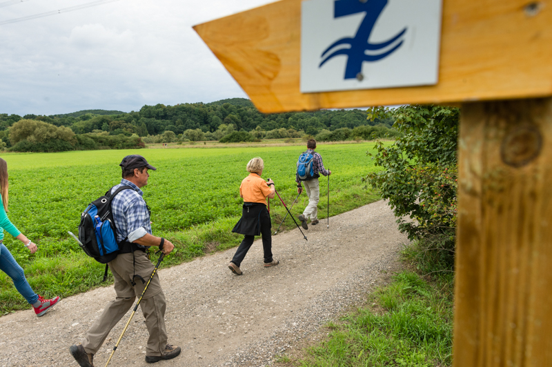 Auf dem Sieben-Flüsse-Wanderweg im Maintal zwischen Hallstadt und Kemmern. Foto: Andreas Hub