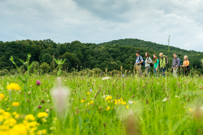 Durchs Maintal zwischen Kemmern und Hallstadt mit Blick auf Kreuzberg und Semberg. Foto: Andreas Hub