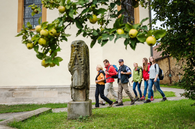 Quittenbaum im Pfarrhof in Stettfeld. Foto: Andreas Hub
