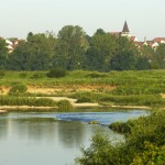 Sand- und Kiesinseln der naturnah gestalteten Regnitz bei Sassanfahrt. Foto: Andreas Hub