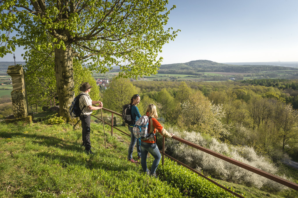 Frühlingsblick vom Senftenberg in die Fränkische Schweiz. Foto: Andreas Hub