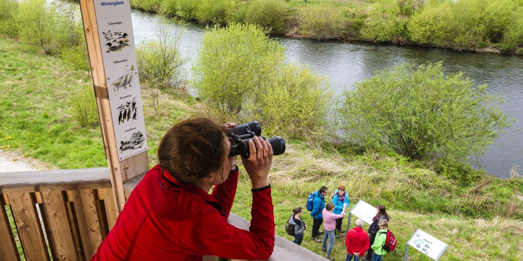Vogelbeobachtung vom Life-Natur-Aussichtsturm an der Mainschleife Unterbrunn. Foto: Andreas Hub