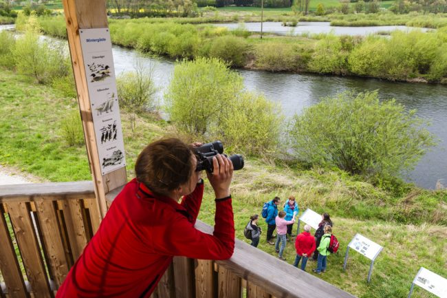 Vogelbeobachtung vom Life-Natur-Aussichtsturm an der Mainschleife Unterbrunn. Foto: Andreas Hub