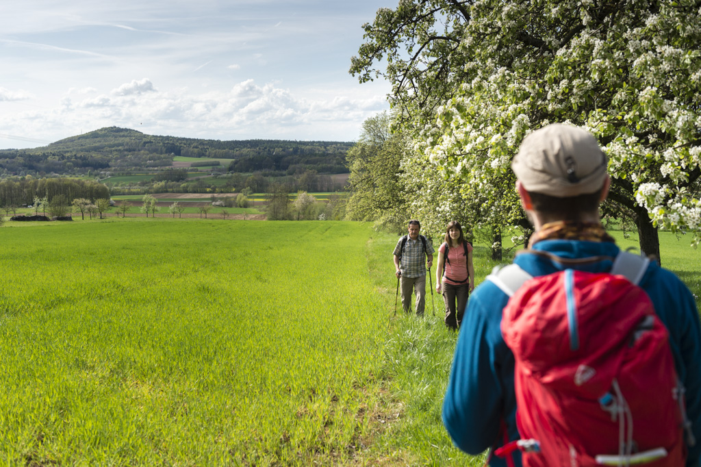 Obstblüte im Eggerbachtal in der Fränkischen Schweiz. Foto: Andreas Hub