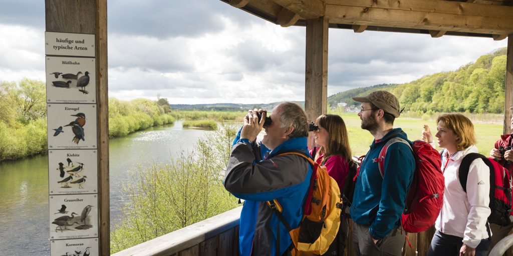 Vogelbeobachtungsturm bei Dippach am Main. Foto: Andreas Hub Vogelbeobachtungsturm bei Dippach am Main. Foto: Andreas Hub
