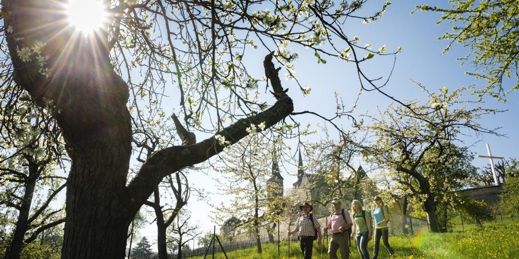 Im ehemaligen Klostergarten von St. Michael in Bamberg. Foto: Andreas Hub