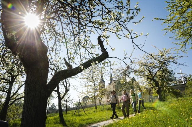 Im ehemaligen Klostergarten von St. Michael in Bamberg. Foto: Andreas Hub Im ehemaligen Klostergarten von St. Michael in Bamberg. Foto: Andreas Hub