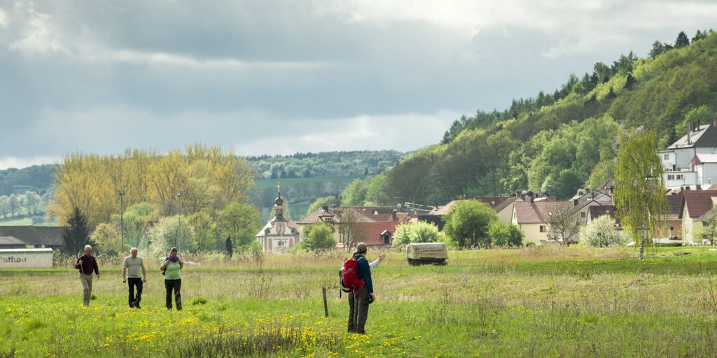 Mainauen bei Roßstadt a. Main Foto: Andreas Hub