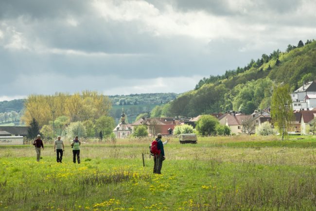 Mainauen bei Roßstadt a. Main Foto: Andreas Hub Mainauen bei Roßstadt a. Main Foto: Andreas Hub