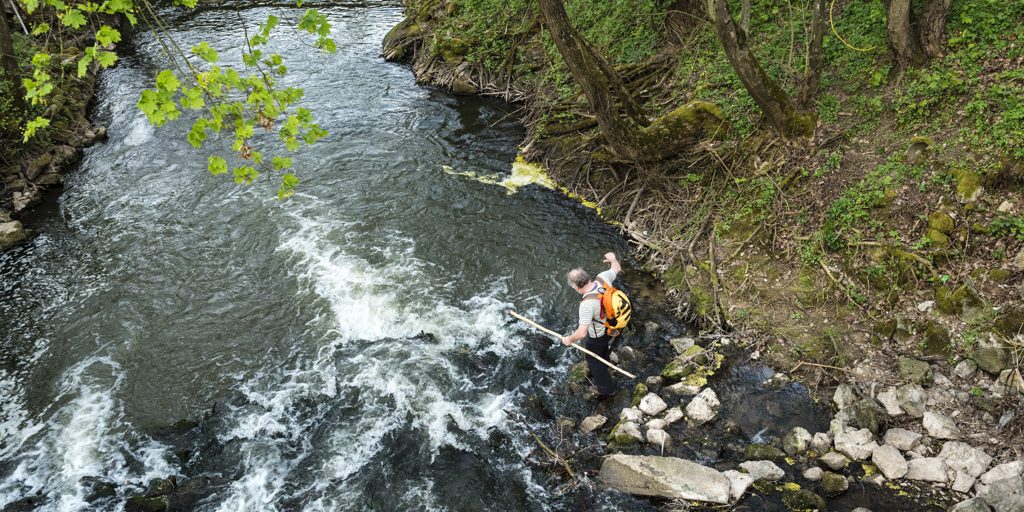 Rauhe Ebrach bei Pettstadt. Foto: Andreas Hub Rauhe Ebrach bei Pettstadt. Foto: Andreas Hub
