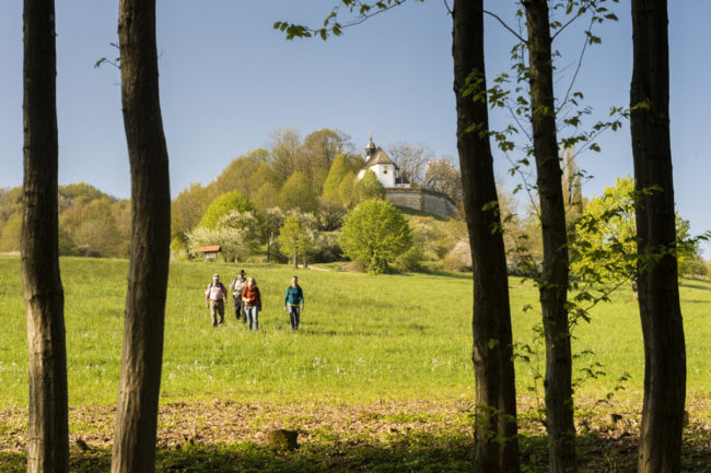 Senftenbergkapelle bei Gunzendorf im Frühling. Foto: Andreas Hub