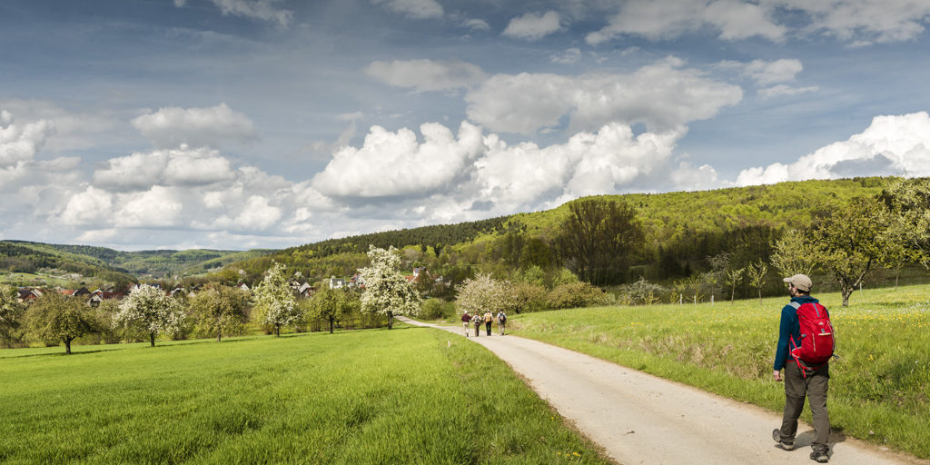 Obstbaumblüte bei Weigelshofen. Foto: Andreas Hub