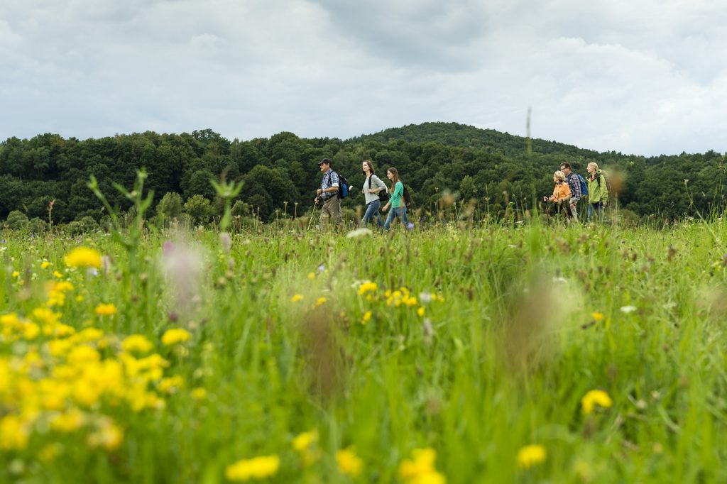 2022: Baustellen zwischen Hallstadt und Kemmern