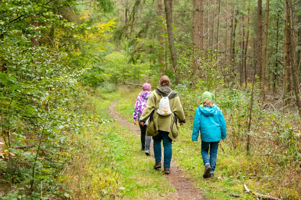 Rundwanderung Oberhaid Mönchsee, Seelaub, Kreislehrgarten