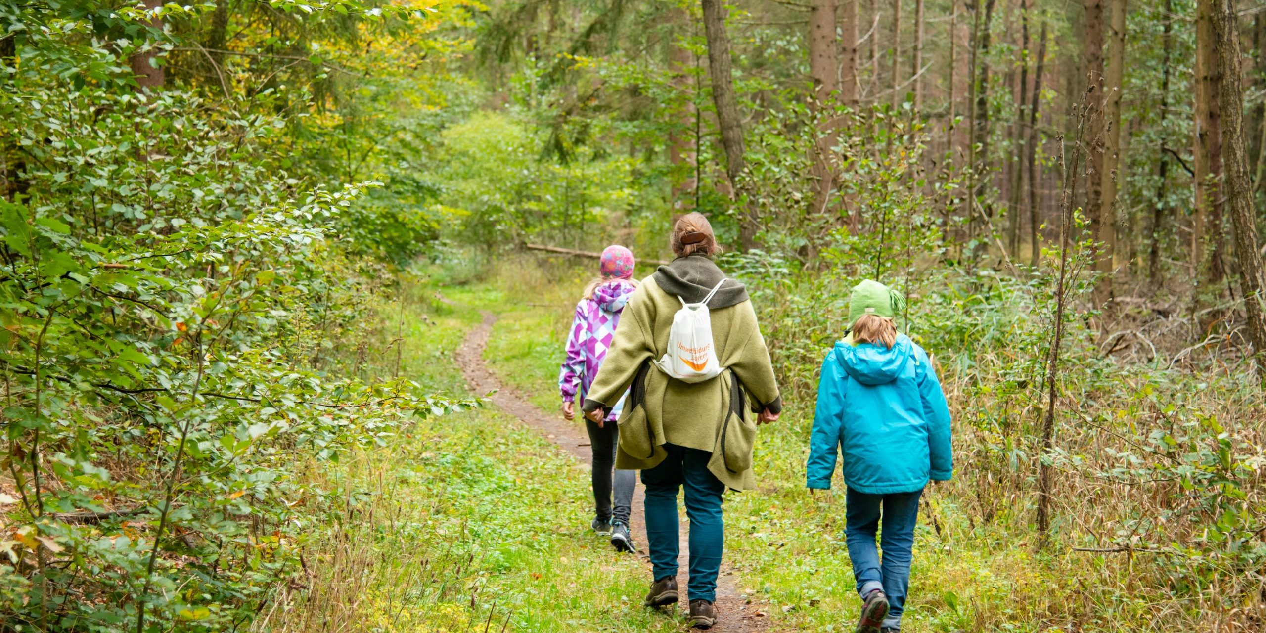 2020_10_Wanderung_Mönchssee_Oberhaid-07182 Rundwanderung Oberhaid Mönchsee, Seelaub, Kreislehrgarten