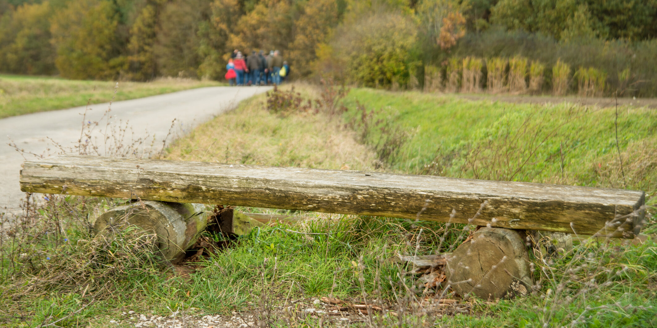 Der Karpfenweg führt durch die für die Ausläufer des Steigerwaldes typische fränkische Hügellandschaft. Zwischen den Feldern liegen kleineren Waldstücke. Foto: Thomas Ochs Der Karpfenweg führt durch die für die Ausläufer des Steigerwaldes typische fränkische Hügellandschaft. Zwischen den Feldern liegen kleineren Waldstücke. Foto: Thomas Ochs