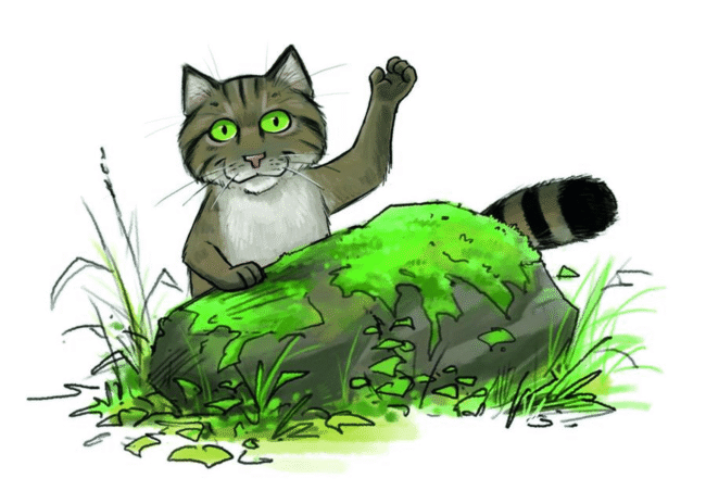 Wildkatze Naturerlebnisweg Melkendorf. Quelle: TI Fränkische Toskana Wildkatze Naturerlebnisweg Melkendorf. Quelle: TI Fränkische Toskana