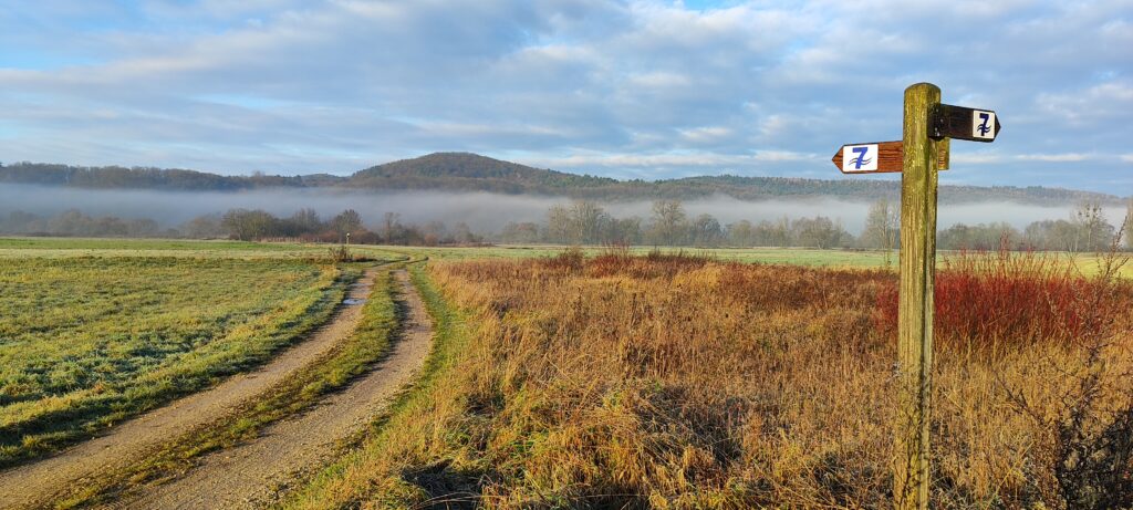 Naturnaher Flurweg zwischen Kemmern und Hallstadt im Maintal mit Blick auf die Haßberge im Nebel und Wegweiser des Sieben-Flüsse-Wanderwegs. Foto: A. Schmitt.