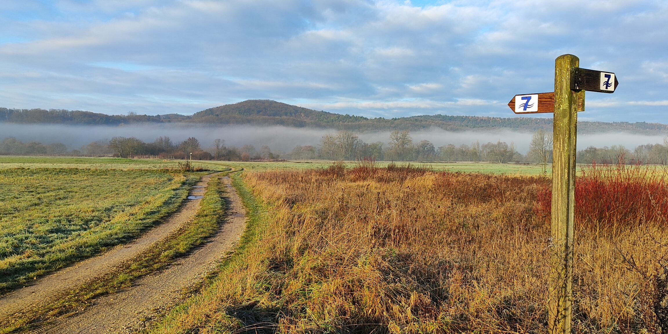 Sieben_Fluesse_Wanderweg_Hallstadt_Kemmern_2025_ASchmitt Naturnaher Flurweg zwischen Kemmern und Hallstadt im Maintal mit Blick auf die Haßberge im Nebel und Wegweiser des Sieben-Flüsse-Wanderwegs. Foto: A. Schmitt.