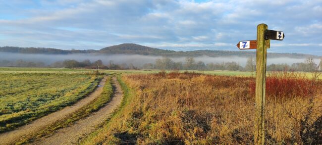 Sieben_Fluesse_Wanderweg_Hallstadt_Kemmern_2025_ASchmitt Naturnaher Flurweg zwischen Kemmern und Hallstadt im Maintal mit Blick auf die Haßberge im Nebel und Wegweiser des Sieben-Flüsse-Wanderwegs. Foto: A. Schmitt.